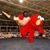 Elmer Anthony Manaois's profile image