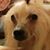 Denise Gilbar Eskridge's profile image