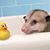 Bonnie-Jeanne Theresa Brault's profile image