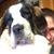 Amy Simmons's profile image