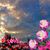 Raquel Gamboa's profile image