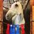 Kristin Fiscus Knechtges's profile image