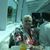 Roberta Faust's profile image