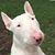 Xiles Solaz's profile image