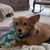 Tracy Ann Earls's profile image