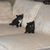 Barbara Baglien Gordon's profile image
