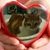 Mina Cosima Castelluccio Stella's profile image