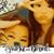 Angela Wong's profile image