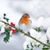 Sharron Truett Voss's profile image