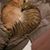 Amanda Hohman's profile image