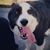Robbin Glatman's profile image