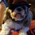 Elizabeth A Tomkin's profile image