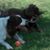 Vicki Roenspiess's profile image