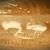 Glenda Hartsell Gordon's profile image