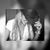Lily Castillo's profile image