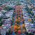Amy Neese Kelley's profile image