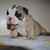 Christy Hutton- LaFary's profile image
