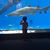 Lucy Casares's profile image