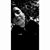 Andreas Moustakis's profile image