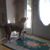Aurellia Seaward's profile image