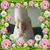 Marianne Luidelli's profile image