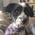 Mark Koepke's profile image