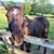 Autumne Shoffner Edmonds's profile image