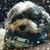 Michelle Hart's profile image