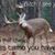 Michael Cahoon's profile image