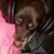 Amy Stahl's profile image