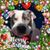 Pamela Merideth's profile image