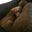 Lori Ritter's profile image
