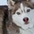 Tammi Kay's profile image