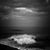 Dory Willis Shirley's profile image