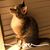 Penny Jackson's profile image