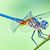 Janet Crossland's profile image