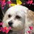 Anne Winfield's profile image