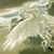 Peggy Regi Suchan's profile image