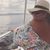 Katie Norsworthy's profile image