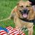 Tammy Nordenberg's profile image