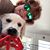 Marianne Shlegle Solan's profile image