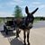 Kathy Wendland's profile image