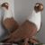 فاروق الشامي's profile image