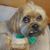 Leasa Matherly Tilley's profile image