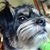 James Marceau's profile image