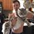 Josh Dennis's profile image