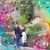 Kimberly S Mossman's profile image