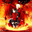 DIVA's profile image