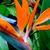 Don Giuseppe's profile image
