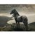 Kristine Renee Stowell-Thurmes's profile image